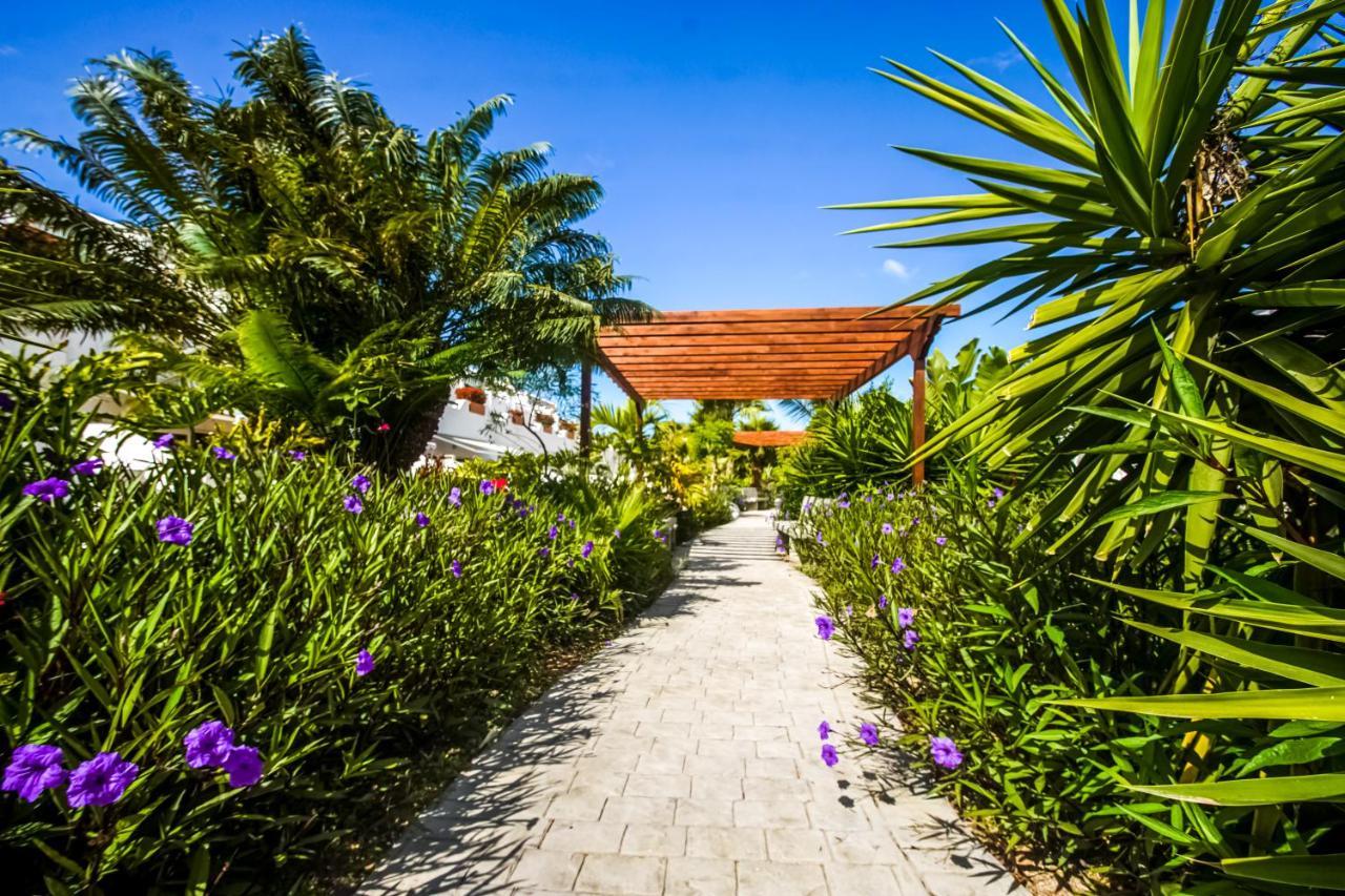 Parque Don Jose Apartment Costa Del Silencio Dış mekan fotoğraf